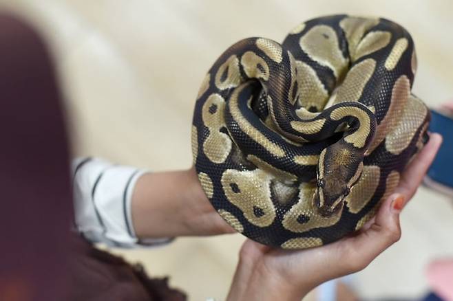 기사와 무관. 사진=게티이미지뱅크