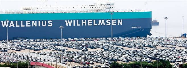 < 선적 대기 중인 수출용 차량 > 7일 경기 평택항 터미널에서 대기 중인 수출용 자동차. 정부는 미국 정부가 중국을 겨냥해 추진 중인 자동차 운반선 항만 입항료 조치에서 한국을 제외해 달라고 요청한 것으로 알려졌다.  뉴스1