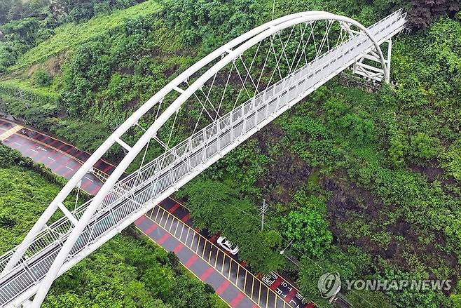 광주 제석산 구름다리. 연합뉴스.