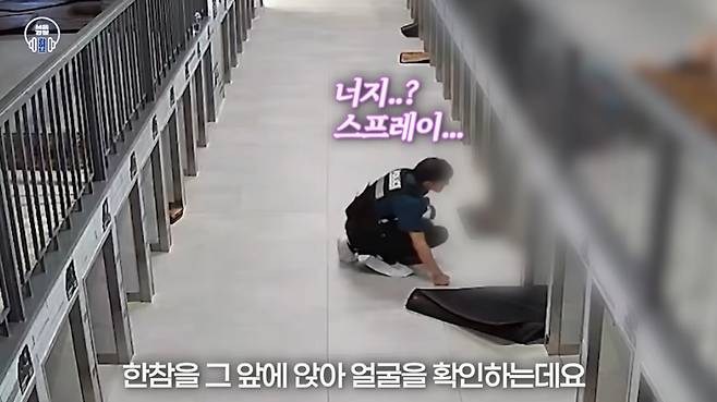 서울 곳곳을 누비며 은행 ATM, 주차된 자동차, 엘리베이터 내부 등에 '래커(락카) 테러'를 벌인 남성의 체포 영상이 공개됐다. /사진=유튜브 채널 '서울경찰' 갈무리