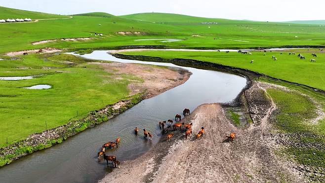 오르도스 대초원