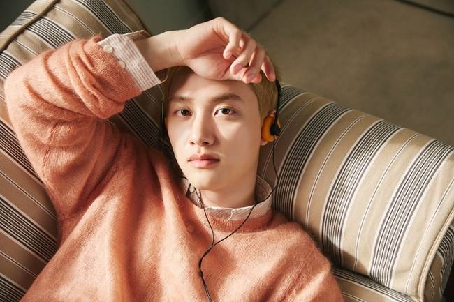 사진=컴퍼니수수