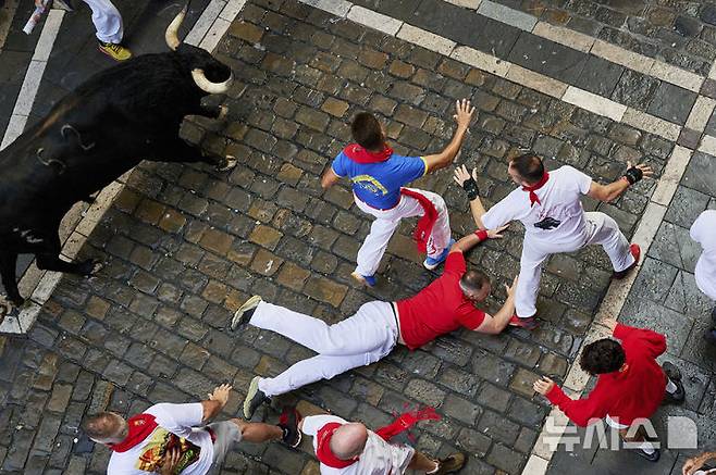 [팜플로나=AP/뉴시스] 7일(현지 시간) 스페인 팜플로나에서 열린 연례 산 페르민 축제 중 황소와 달리기(엔시에로) 참가자들이 골목길을 달리다 넘어지고 있다. 2025.07.07.