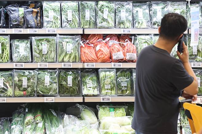 폭염·장마 여파로 채소류 가격이 들썩이고 있는 6일 서울의 한 대형마트에서 시민이 장을 보고 있다. 연합뉴스