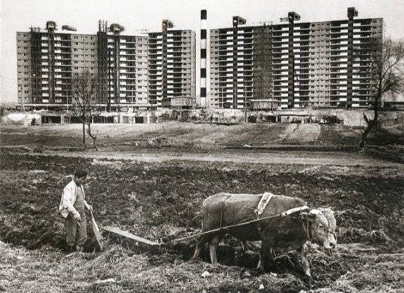 1978년 촬영된 서울 강남구 압구정동 현대아파트 건설 현장. 동아DB