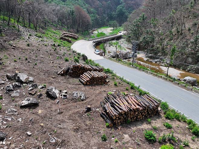 황폐화된 영양 삼의계곡 [촬영 윤관식]
