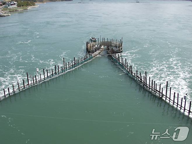 남해 지족해협 죽방렴(해양수산부 제공)