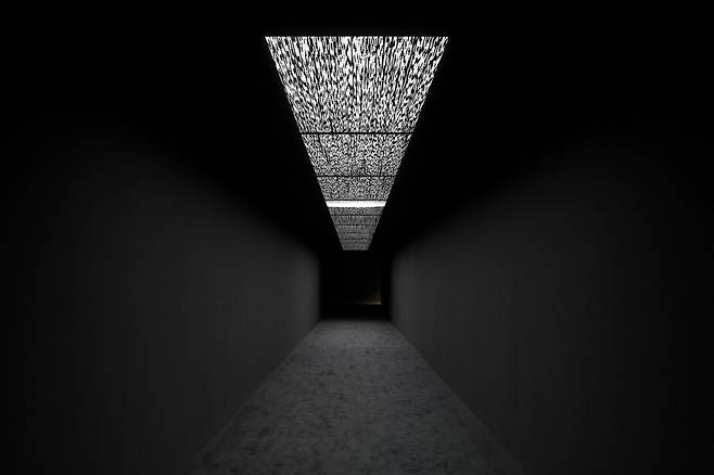 Ryoji Ikeda, 'data.flux [nº1], 2020, 180 Strand' 전시 전경, Photo by Jack Hems (국립아시아문화전당 제공)
