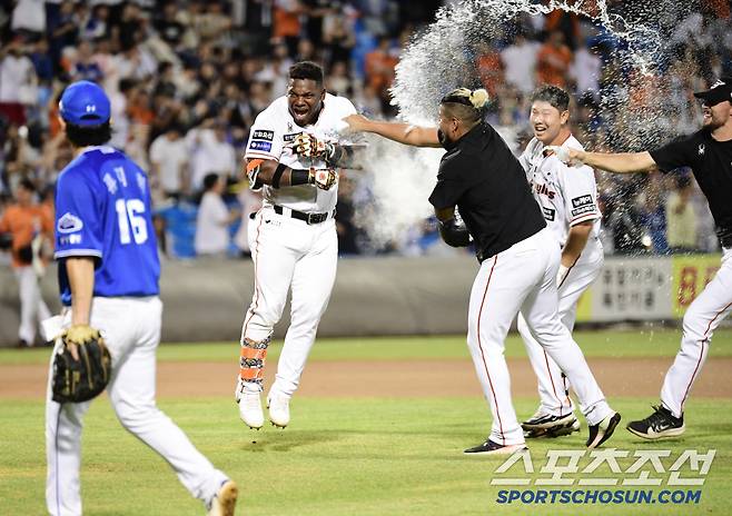 24일 대전 한화생명이글스파크에서 열린 한화와 삼성의 경기. 한화가 9회말 페라자의 끝내기 안타로 승리했다. 동료들과 승리의 기쁨을 나누고 있는 페라자. 대전=송정헌 기자songs@sportschosun.com/2024.07.24/