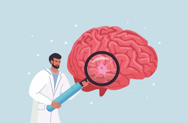 KAIST 연구팀이 뇌가 포도당을 선택적으로 인식할 수 있다는 사실을 입증했다. 게티이미지뱅크 제공