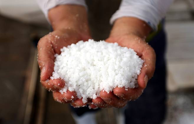 2025년 4월, 미국 관세국경보호청은 국내 염전에서 강제노동 등 각종 인권침해 논란이 제기되자 한국산 천일염 일부에 수입금지 조처를 내렸다. 사진은 2023년 6월 전남 신안의 한 염전에서 노동자가 방금 수확한 천일염을 두 손 가득 쥐고 있는 모습. 한겨레 박종식 기자