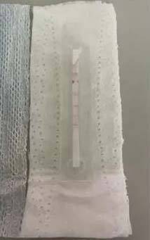 생리대만 착용해도 만성 염증, 난소암 등 질병을 조기 진단할 수 있다는 연구 결과가 발표됐다. ​/사진=어드밴스드 사이언스