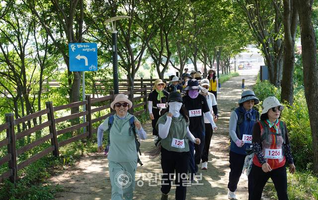 ▲ 걸어서 철원속으로, 느티나무 30리길 걷기 대행진이 9일 철원군 화강변에서 열려 참가자들이 느티나무 터널을 걷고 있다. 이재용 기자