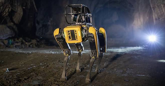 Spot robot dog [BOSTON DYNAMICS]