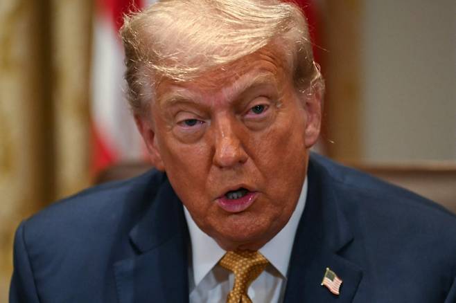 도널드 트럼프 미국 대통령이 8일(현지시간) 워싱턴DC 백악관에서 열린 내각 회의에서 발언하고 있다. /AFPBBNews=뉴스1