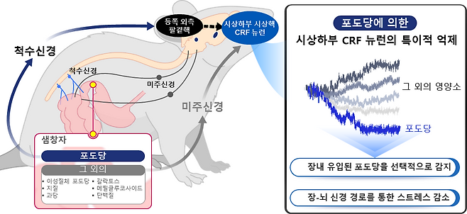 연구 그림 정리 설명[KAIST 제공]