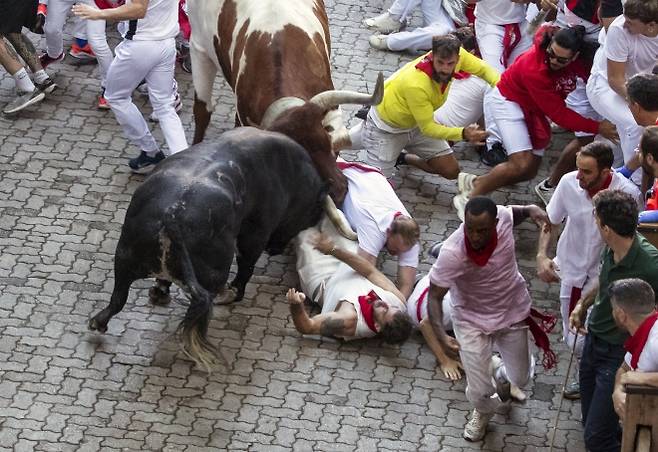 스페인 북부 팜플로나에서 열린 산 페르민 축제의 ‘엔시에로’(황소 달리기) 첫날인 7일(현지시간) 황소들이 참가자들을 공격하고 있다. 2025.7.7 UPI 연합뉴스