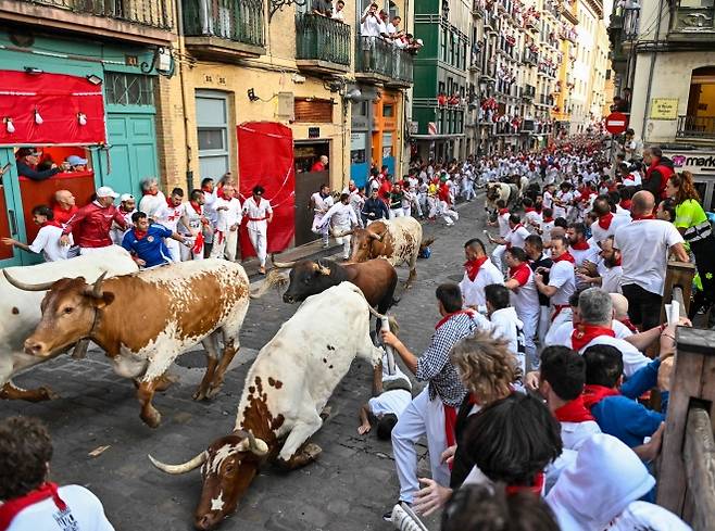 스페인 북부 팜플로나에서 열린 산 페르민 축제의 ‘엔시에로’(황소 달리기) 첫날인 7일(현지시간) 황소 한 마리에 앞서 달리던 사람과 부딪혀 넘어져 있다. 2025.7.7 AFP 연합뉴스