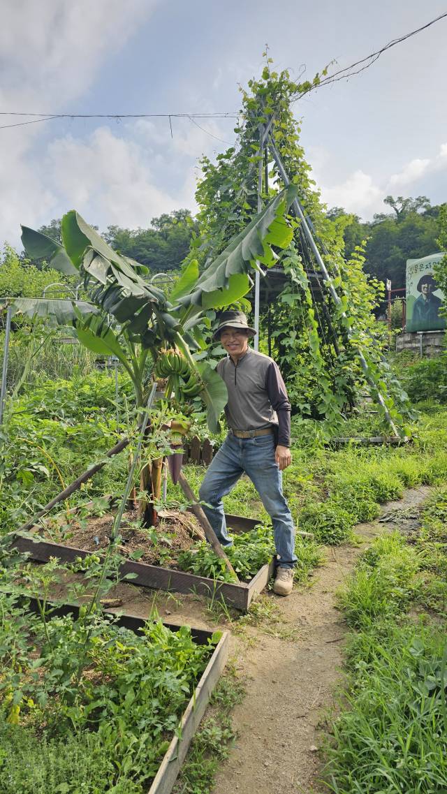 서울에서 자라고 있는 바나나 나무 옆에 서 있는 오영록 팀장