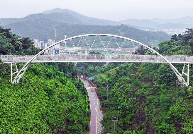 광주 남구 봉선동에서 진월동을 잇는 '제석산 구름다리' 아래로 차량이 서행하고 있다. 제석산 구름다리에서는 공식 집계가 시작된 지난 2017년부터 현재까지 8명이 추락해 사망했다. ⓒ연합뉴스