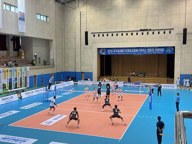 단양에서 열린 배구대회 모습 [단양군 제공. 재판매 및 DB 금지]