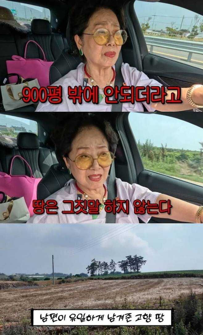 사진=선우용여 유튜브 캡처