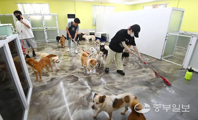 10일 인천시 서구의 한 유기견 보호소에서 유기견 보호단체 '도로시 지켜줄게'가 주최한 청소 봉사활동에서 석정규 인천시의원과 유튜버, 연예인, 수의사 등 봉사자들이 함께 대청소를 하고 있다.정선식기자