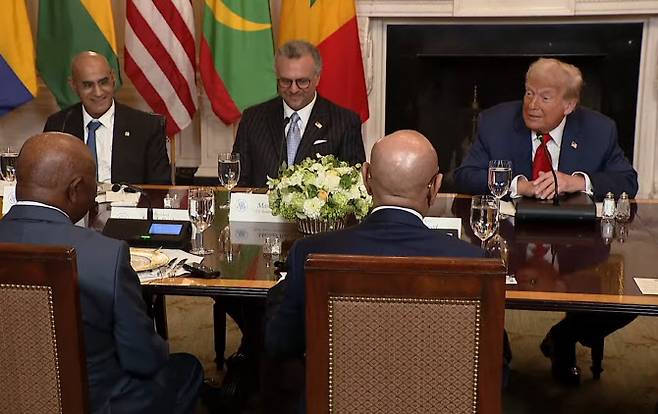 The Hill 유튜브 캡처