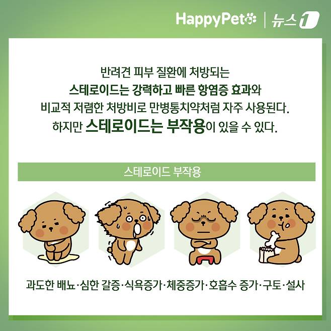 ⓒ News1 김초희 디자이너