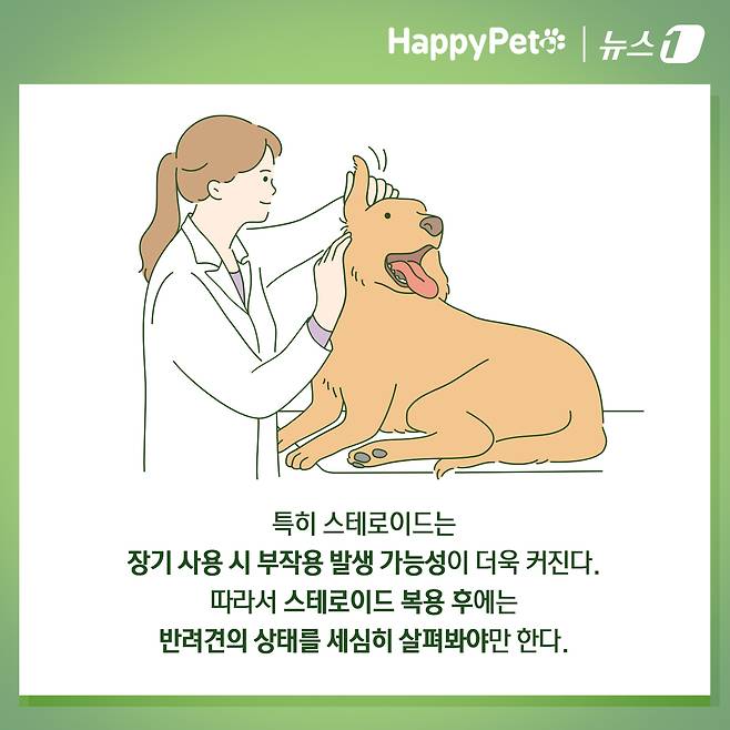 ⓒ News1 김초희 디자이너