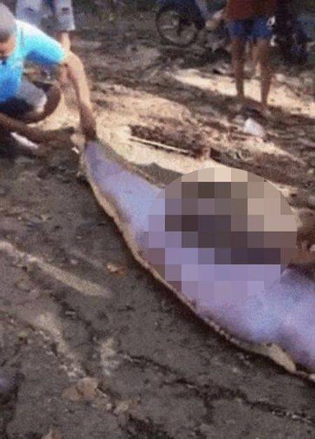 /사진=데일리메일