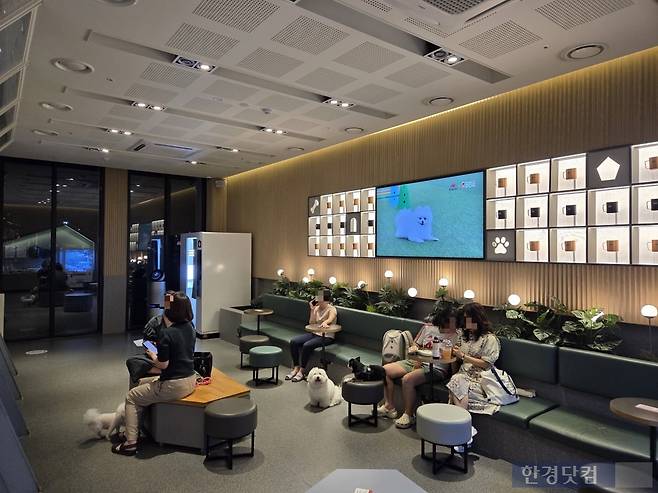 지난 9일 서울 마포구 소재의 한 펫 프렌들리 매장 안에서 반려동물 동반 고객들이 휴식을 취하고 있다./사진=박수림 기자