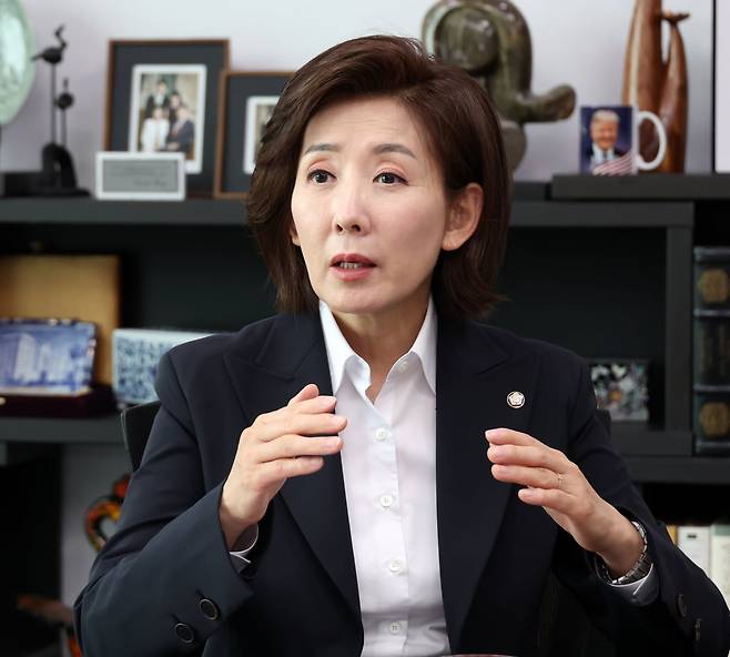 나경원 국민의힘 의원 사진=한경 강은구 기자