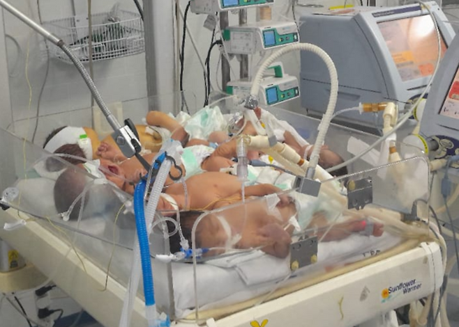 가자지구 병원에 연료 부족으로 인큐베이터 하나에 네 명의 신생아가 누워있다. 사진출처 파텔 나임 엑스 계정