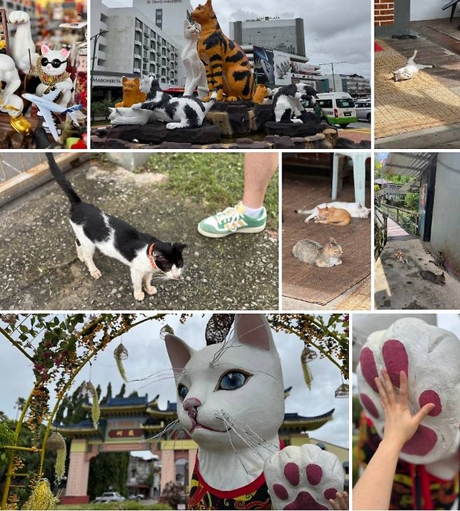 쿠칭은 ‘고양이의 도시’로 불린다. 도시 곳곳에서 고양이 조각을 볼 수 있다. / 사진=홍지연 여행+ 기자
