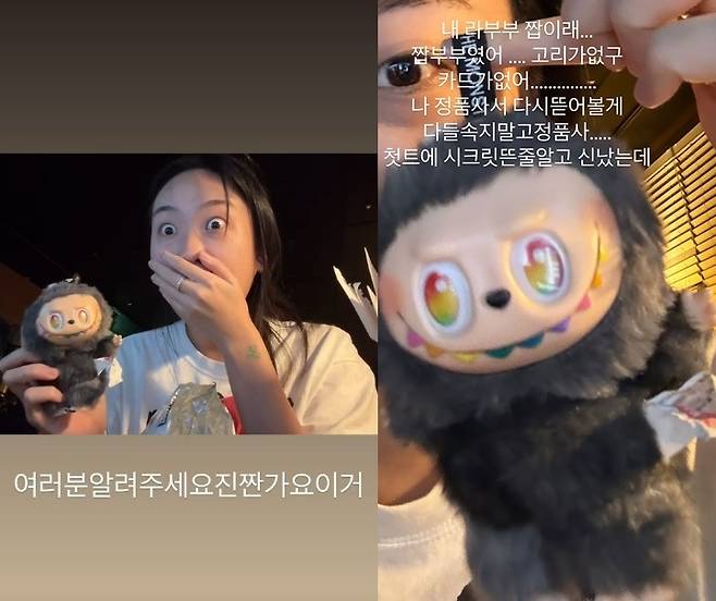 이영지 소셜미디어