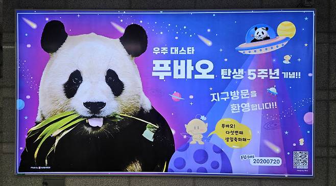 대전역 푸바오 지하철 전광판 광고(사진=푸바오 갤러리 제공).
