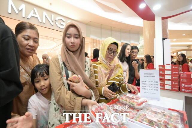 해외로 뻗어나가는 논산 딸기. /논산시