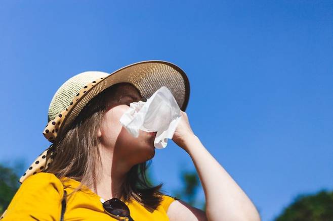 ⓒ게티이미지뱅크