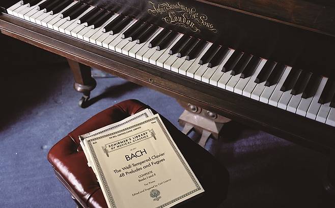 / 사진 셔터스톡