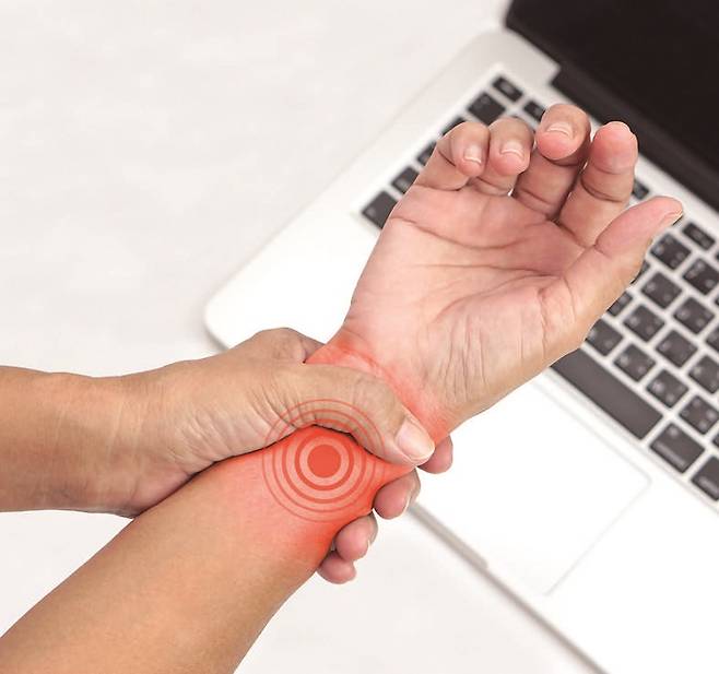 / 사진 셔터스톡