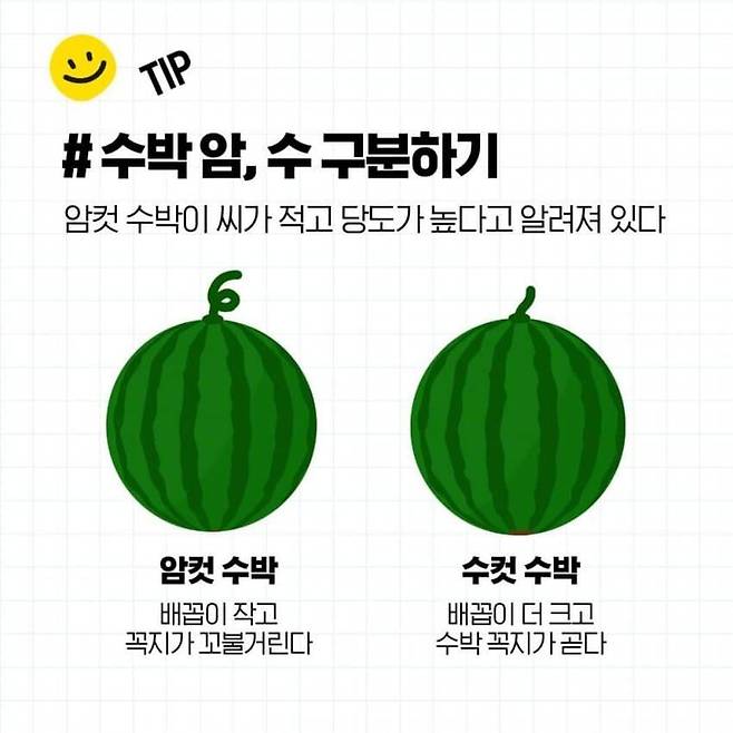 1000020009.jpg 꿀수박 고르는 방법과 보관방법
