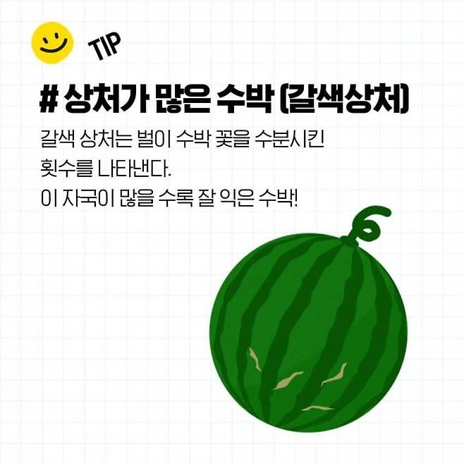 1000020010.jpg 꿀수박 고르는 방법과 보관방법