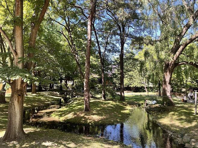 IMG_6310.jpeg 7월의 삿포로 풍경