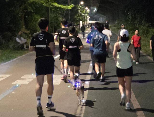 '러닝 순찰대'가 6월 26일 서울 서대문구 홍제천 산책길을 순찰하고 있다. 서울시 제공