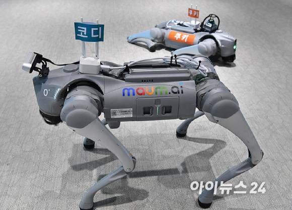 경기도 판교 마음AI 사옥 전시장에 놓여있는 AI 경비 로봇 '쿠키'와 '코디'. [사진=곽영래 기자]