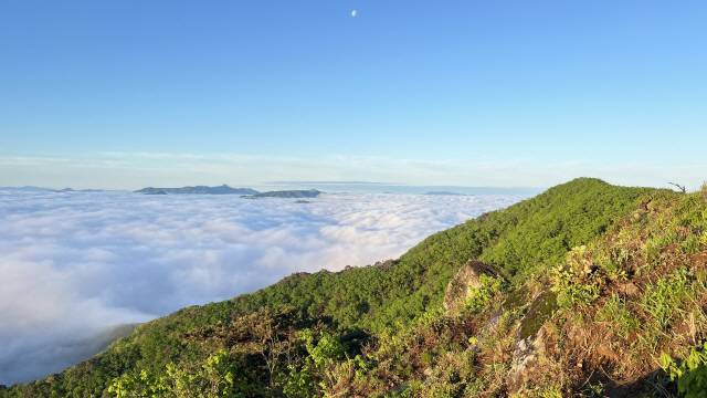 봉화산 정상에서 바라본 장관. 운해가 해처럼 밝은 아침 햇살을 받으며 산을 뒤덮고, 그 위로 드문드문 솟은 산봉우리들이 섬처럼 떠 있는 모습은 봉화산의 대표적 풍경이다.