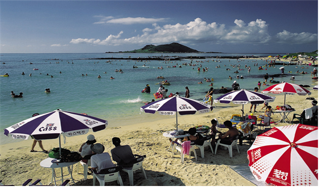 제공 = 제주관광협회