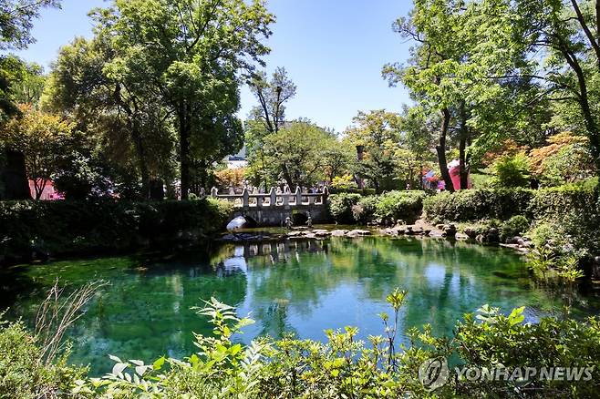 도심에 솟아나는 낙동강 발원지…황지연못 [연합뉴스 자료사진]