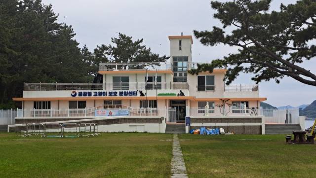 영화에서 농활 장소로 나오는 학교. 지금은 ‘공공형 고양이 보호 분양센터’로 바뀌었다./이달균 시인/